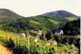 Skiurlaub: Enkirch, Mosel, Rheinland-Pfalz